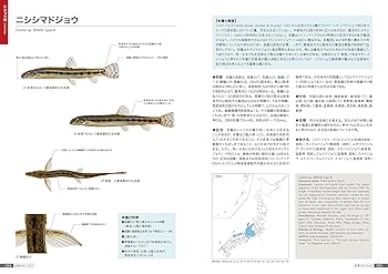 日本のドジョウ 形態・生態・文化と図鑑 日本に分布する全33種